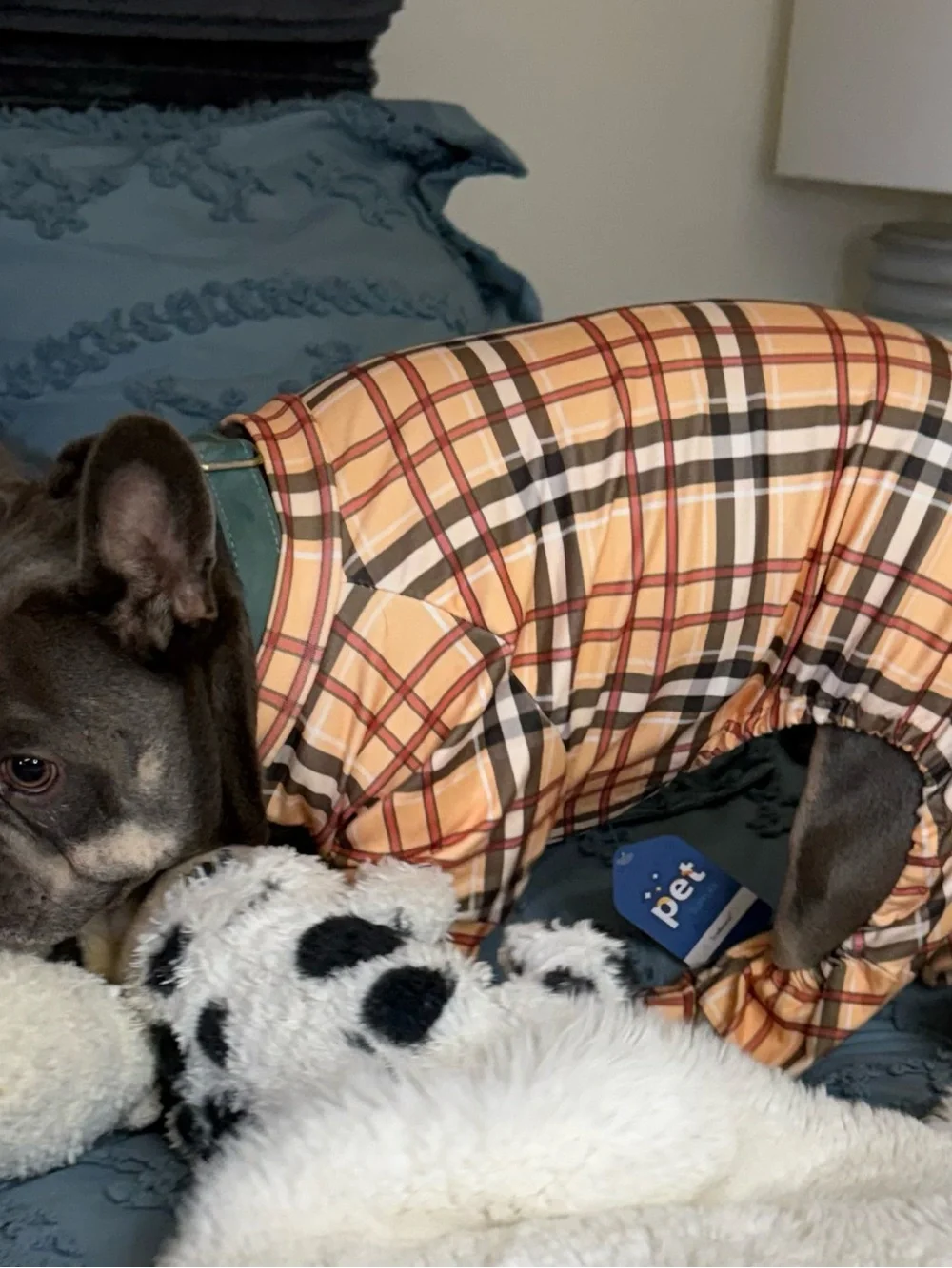 Plaid Dog Pajamas- Tan & Brown